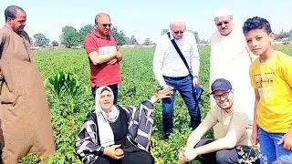 لفينا البلاد والمحافظات والاراضي عشان نشوف تقاول البطاطس ومحصول الدنمارك ابو الفتوح وطلعت نمبر وان