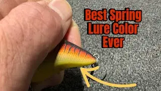 You&rsquo;ll Never Throw A Wiggle Wart Again..