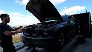 3v With a paxton removes the air filter and adds 30 RWHP!