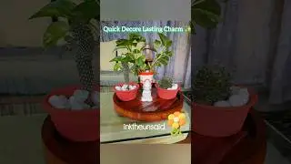 Create Your Own Budget Friendly Magic ✨ #budgetfriendlydecor #easydiydecor #plantlover#diy#ytshorts