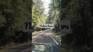 Traveling with family #summer #summer fun #kids #activities #camping  #nature #beautiful #relaxing
