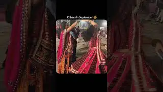 CA Students Motivation with Navratri Vibes 💯🔥 | Study Hard, Celebrate Harder 🎉📚  #CA #shorts
