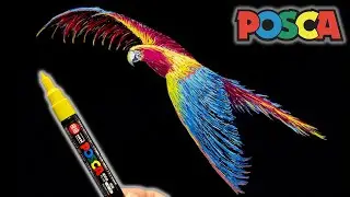 POSCA Marker Macaw Drawing