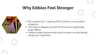 Understanding THC Potency in Edibles