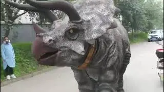 Realistic moving triceratops costume