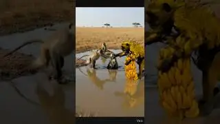 Banana Turned Death Trap 🫢 |  #shorts | #viral | #viral