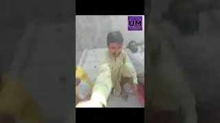 Funny mazahiye Pakistan cow