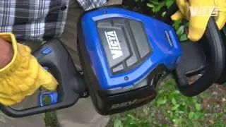 Hedge trimming & care tips