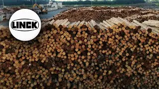 Discover a LINCK Sawmill in Florida &ndash; 1M m&sup3; Southern Yellow Pine / 300 MMBF