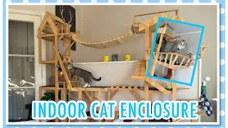 Huge Indoor Cat Enclosure Installation and Tour (was featured on Fanimals!)