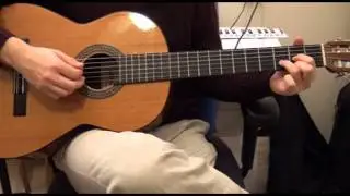 How To Play Born To Die - Lana Del Rey On Guitar Tutorial