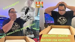 fish store employee pick out mystery fish!!
