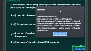 Animal Classification Smart Test 10 , AIPMT biology  study material