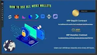 ⚠️ Disclaimer First, Knowledge Next &mdash; XRP Intro!