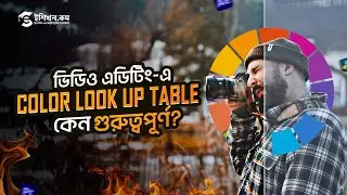 Custom Color LUT তৈরি করবেন যেভাবে! | Professional Color Grading Bangla Tutorial for Beginners