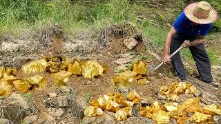 Looking for Gold treasure at the hillside, I found a lot of gold and gold nugget