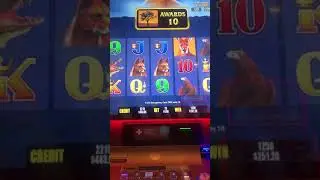 Big Red Gold Nice win