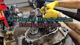 A20 Manual Transmission Rebuild/Upgrade