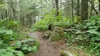 Appalachian Trail 2018: Day 145 Kinsman Notch to Eliza Brook Shelter