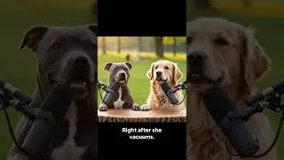 There is no better time 😄. #funny #funndog#podcast #memes #dog #pets #funnydogvideos