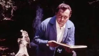 Und es blitzen sterne(E Lucevan Le Stelle) Fritz Wunderlich