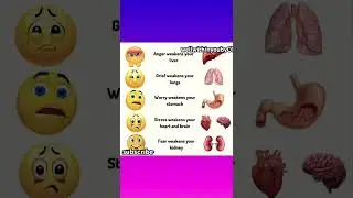 Как эмоции влияют на ваши органы #шорты #еда #вирусный #youtubeshorts #тренд #wellwithinyoubyct