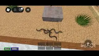 Roblox game play (tiku gaming with chota Don)
