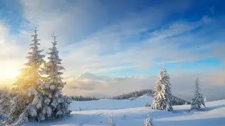 SNOW ARRIVING IN KNOXVILLE TENNESSE (WINTER STORMSNOW TRAVEL 2024)