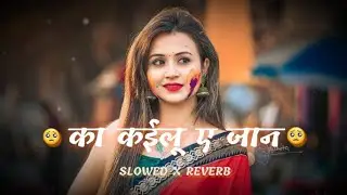 का कईलू ए जान ( SLOWED X REVERB ) HOLI SONG NEW ( HOLI SONG ) NEW BHOJPURI HOLI SONG )