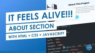 This Website Tells Its Own Story ✨ | Animated About Section (HTML + CSS + Lo-Fi)