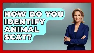 How Do You Identify Animal Scat? - Chasing Big Fish