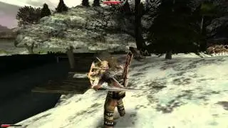 Zagrajmy w Gothic II 40: Dawny Nowy Ob&oacute;z