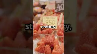 &ldquo;Would You Pay $20 for ONE Strawberry?! 🍓💰 (Japan&rsquo;s Luxury Fruit!)&rdquo;