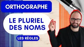 Guide Complet pour l'Orthographe et le Pluriel des Noms en Français