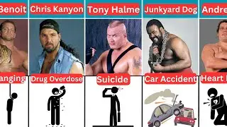 How Famous WWE Wrestler's Died 2024