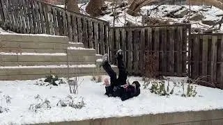 Snow skating a 6 Foot Wall Drop. Comment What Trick To Do Off Next! Raw/Uncut Progress Video