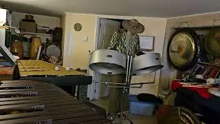 Yellow Bird on the double seconds