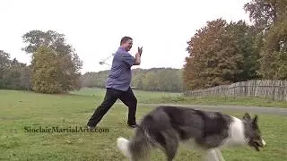 A Different Perspective of the 8 Trigrams - Tai chi tuishou