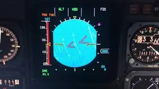 AIRBUS A300-600R Stall & Secondary Stall