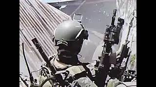 The light reaction regiment