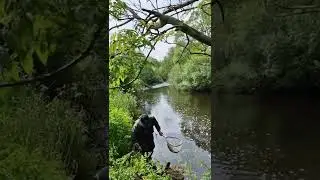 bfs chub fishing on 1.5g salmo!