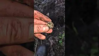 ВЫБИЛО В ПОТ ОТ ТАКОЙ НАХОДКИ
