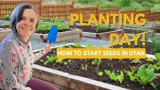 How to Plant Seeds in Utah | Planting Day in February