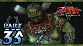 The Legend of Zelda: Twilight Princess HD - Part 35 - Gerudo Desert