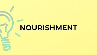 What is the meaning of the word NOURISHMENT?