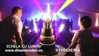 Schela Lumini Nunta Baia Mare, Satu Mare