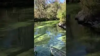 Poe Springs Swim and Snorkel Area