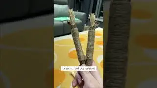 Простой способ содержать зубы кошки в чистоте! 😻🦷