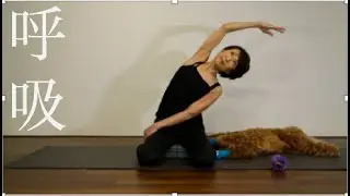 Michiko Style Yoga~心を軽くし呼吸を深める〜
