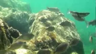 le sentier sous marin de Peyrefite &agrave;  Cerb&egrave;re
